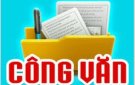 Công văn về việc rà soát, lập danh sách các đối tượng đăng ký khám sàng lọc và phẩu thuật chỉnh hình, phục hồi chức năng năm 2024