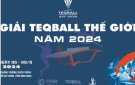 Hỗ trợ thông tin, tuyên truyền Giải TeqBall Thế giới tại tỉnh Ninh Bình năm 2024