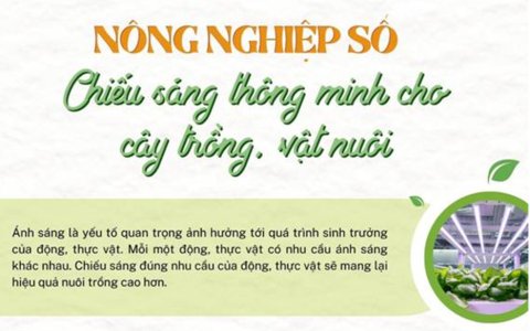 Nông nghiệp số chiếu sáng thông minh cho cây trồng, vật nuôi