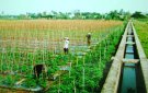 Xuân Trường, Thọ Xuân vượt khó để xây dựng nông thôn mới